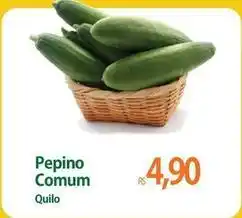 Atacadão Pepino comum oferta