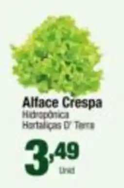 Santo Supermercados Alface Crespa Hidropônica Hortalíças D' Terra oferta