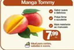 Santo Supermercados Manga Tommy oferta