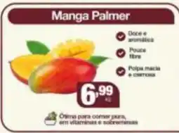 Santo Supermercados Manga Palmer oferta
