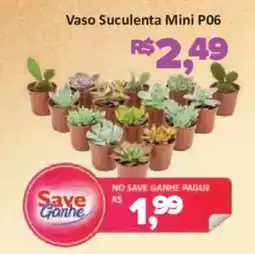 Supermercados Savegnago Vaso Suculenta Mini P06 oferta