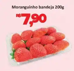 Supermercados Savegnago Moranguinho bandeja oferta