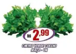 Violeta Supermercados cheiro verde coelho oferta