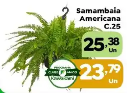 Supermercados Kawakami Samambaia Americana C.25 oferta