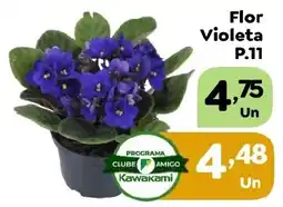Supermercados Kawakami Flor Violeta oferta