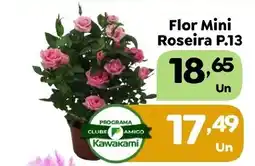 Supermercados Kawakami Flor Mini Roseira P.13 oferta