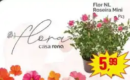 Supermercados Rena Flor nl roseira mini oferta