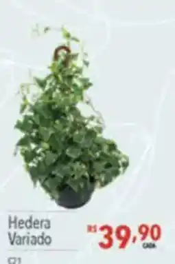 Supermercados Condor Hedera variado oferta
