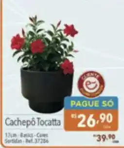 Supermercados Condor Cachepô Tocatta oferta