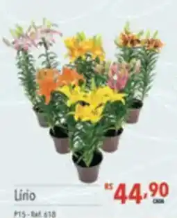 Supermercados Condor Lírio oferta