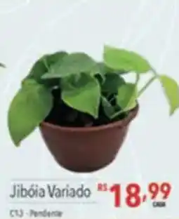 Supermercados Condor Jibóia variado oferta
