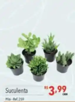 Supermercados Condor Suculenta oferta