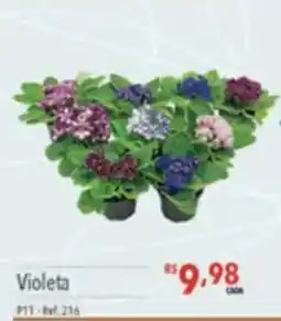 Supermercados Condor Violeta oferta