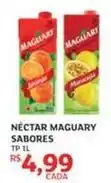 Assaí Atacadista Maguary - néctar oferta