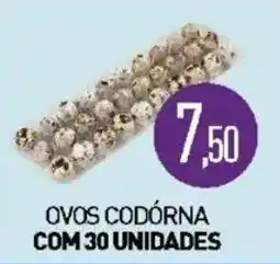 Calvo Atacadista ovos codorna oferta