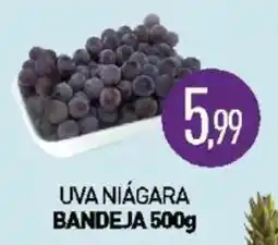 Calvo Atacadista uva niágara oferta