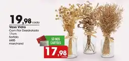 Zaffari Vaso Vidro Com Flor Desidratada oferta