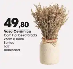 Zaffari Vaso Cerâmica Com Flor Desidratada oferta