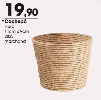 Cacheço fibra