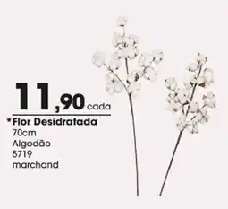 Zaffari flor desidratada oferta