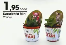 Zaffari Suculenta mini oferta