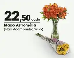 Zaffari Maço Astromélia oferta