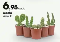 Zaffari Cacto oferta