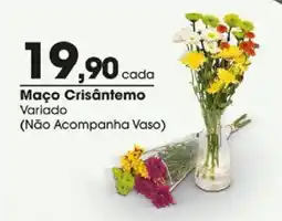 Zaffari Maço Crisântemo Variado oferta