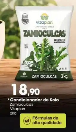 Zaffari Condicionador de Solo Zamioculcas oferta