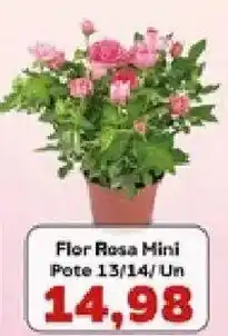 Supermercados Tauste Flor rosa mini oferta