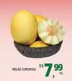 Melao comum