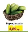 Carrefour Salada - pepino oferta