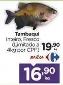 Meu - tambaqui