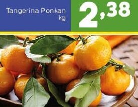 Tangerina Ponkan 1kg