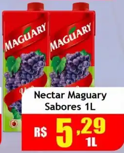 Supermercado Kibe Nectar maguary sabores oferta