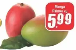 Panelão Manga palmer oferta