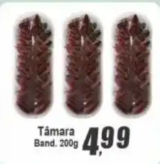 Panelão Tâmara Band oferta