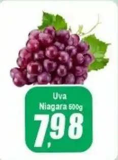 Panelão Uva Niagara oferta