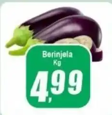 Panelão Berinjela oferta