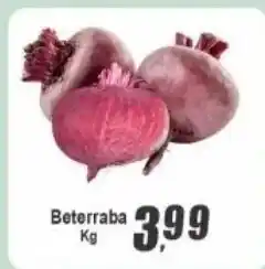 Panelão Beterraba oferta