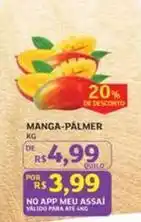 Assaí Atacadista De - manga-palmer oferta