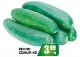 Higa's Supermercado Pepino comum kg oferta