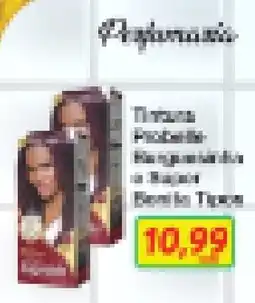 Chama Supermercados Tintura Profissional Riqueza de Raiz Demi Típica oferta