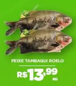 DB Supermercados Peixe tambaqui roelo oferta