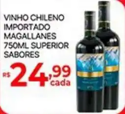 Supermercados Santa Helena vinho chileno importado magallanes oferta