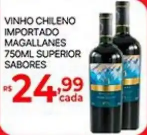Vinho chileno importado magallanes