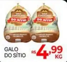 Supermercados Santa Helena Galo do sítio oferta
