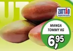 Zattão Supermercado Manga tommy kg oferta