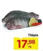 Carrefour Tilápia oferta
