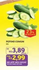 Assaí Atacadista De - pepino comum oferta